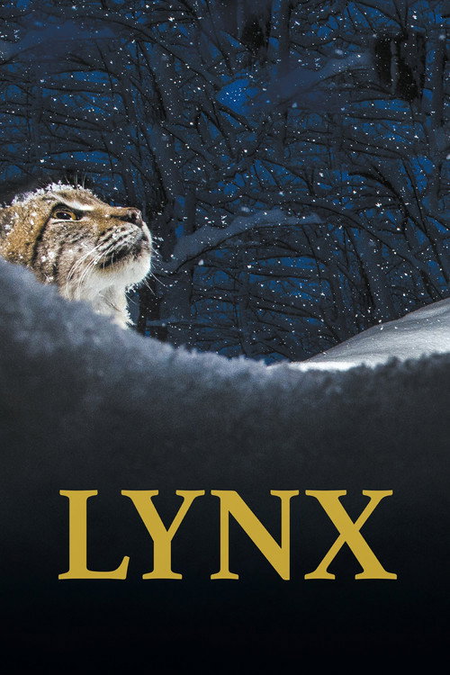 Lynx poster