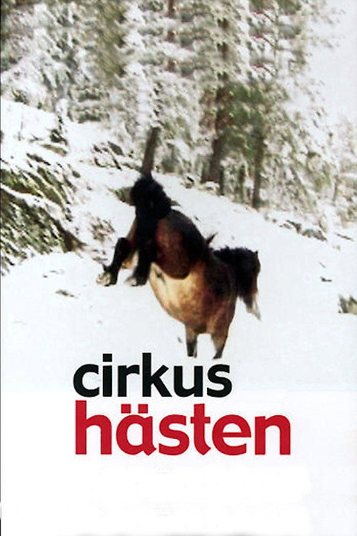 The Circus Horse poster
