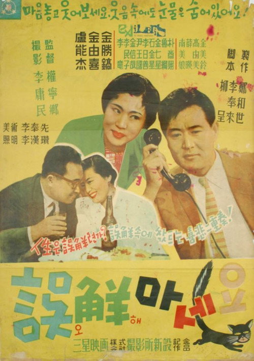 Don't Misunderstand poster