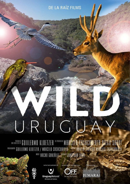 Wild Uruguay poster