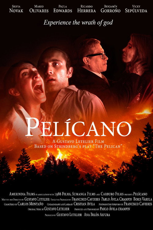 Pelícano poster