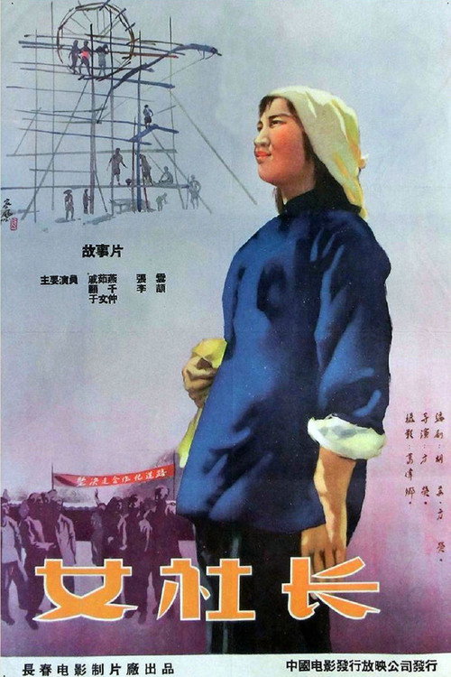 女社长 poster