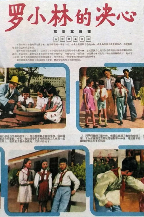 罗小林的决心 poster