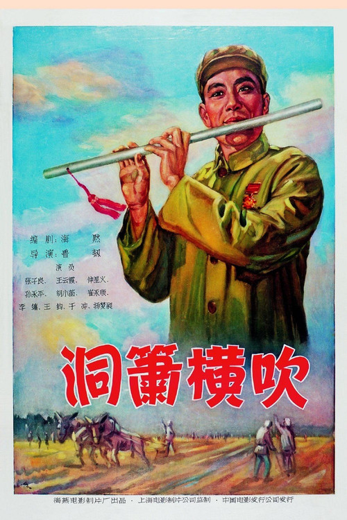 洞箫横吹 poster