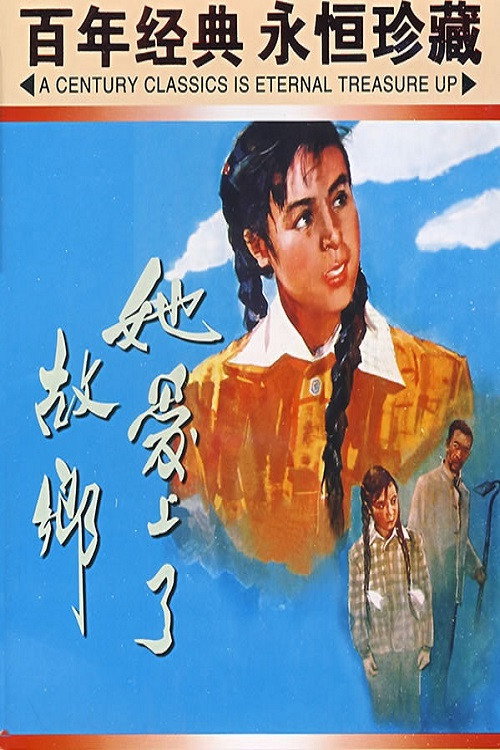 她爱上了故乡 poster