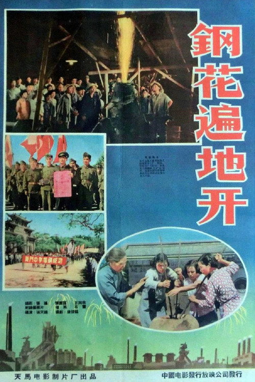 钢花遍地开 poster