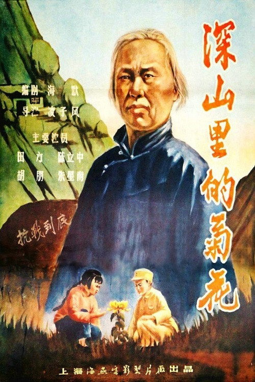 深山里的菊花 poster