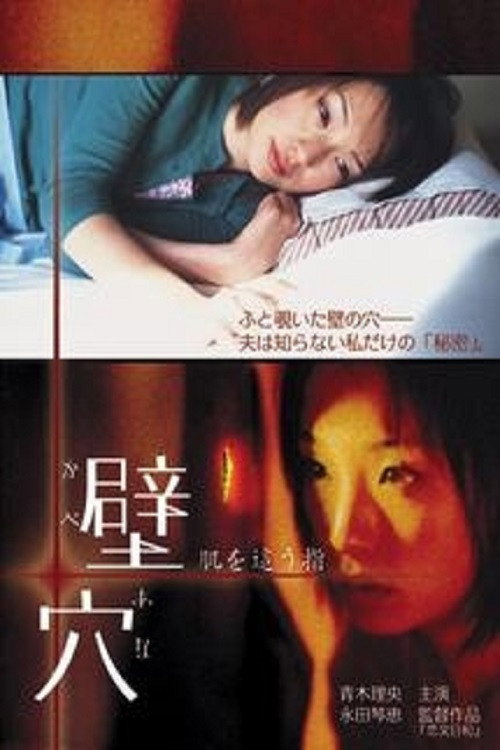 The Hole poster