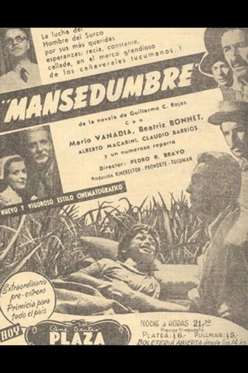 Mansedumbre poster