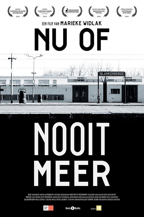 Now or Never Again poster