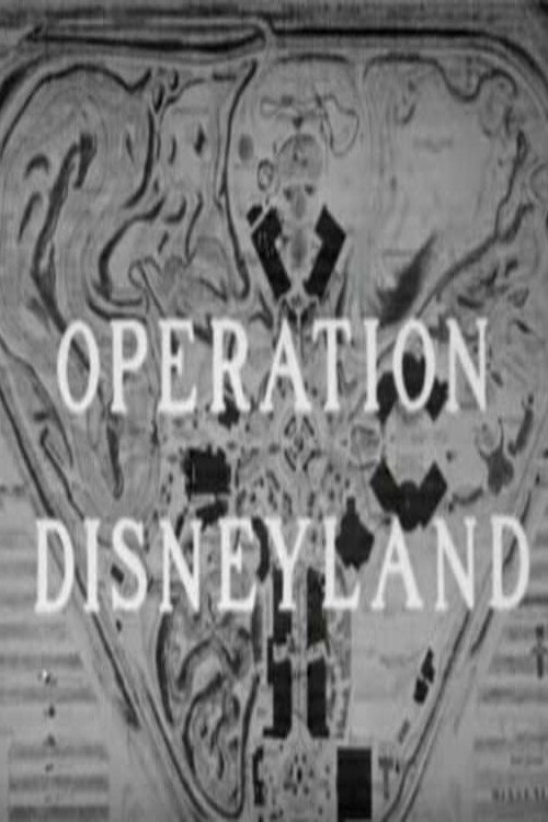 Operation Disneyland poster