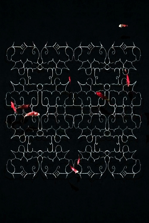 Ciciri poster