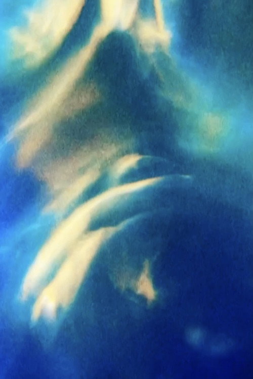 Opalescence poster