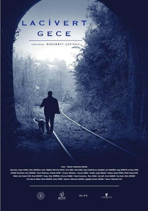 Dark Blue Night poster