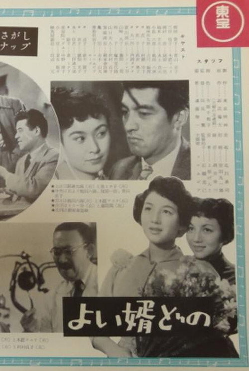Good Son-in-Law poster