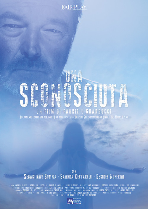 The Lady poster