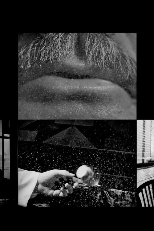 Cinema Study poster