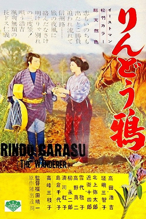 The Wanderer poster