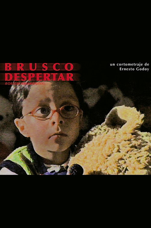 Brusco despertar poster