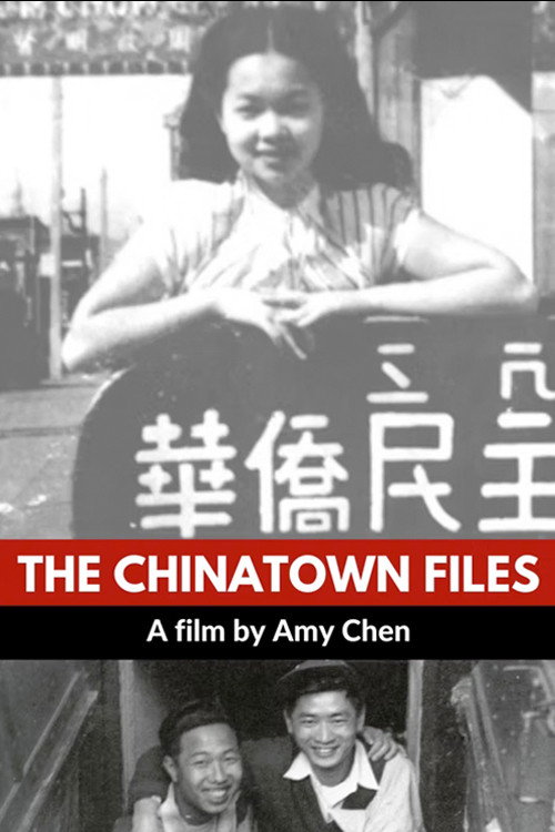 The Chinatown Files poster