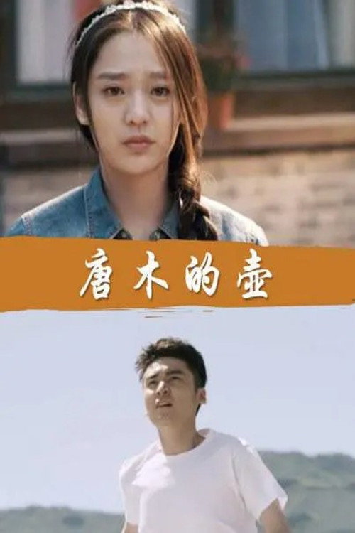 唐木的壶 poster