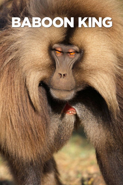 Baboon King poster