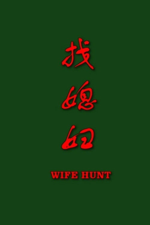 找媳妇 poster