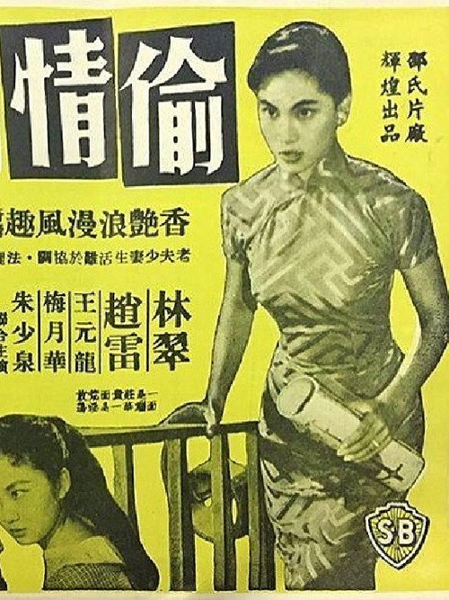 The Stolen Love poster