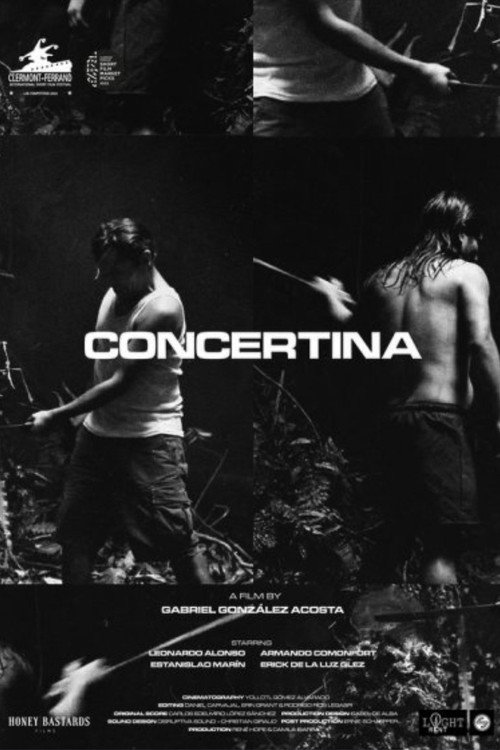 Concertina poster