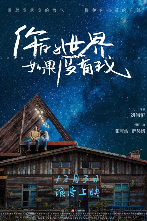 Your World Without Me poster