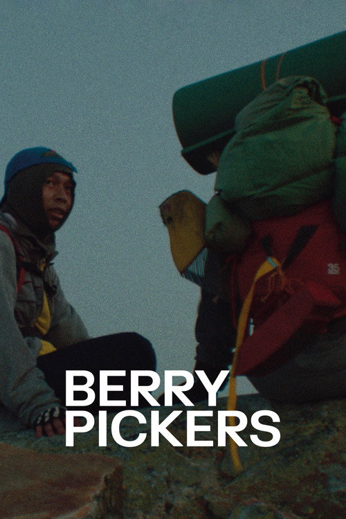 Berry Pickers poster