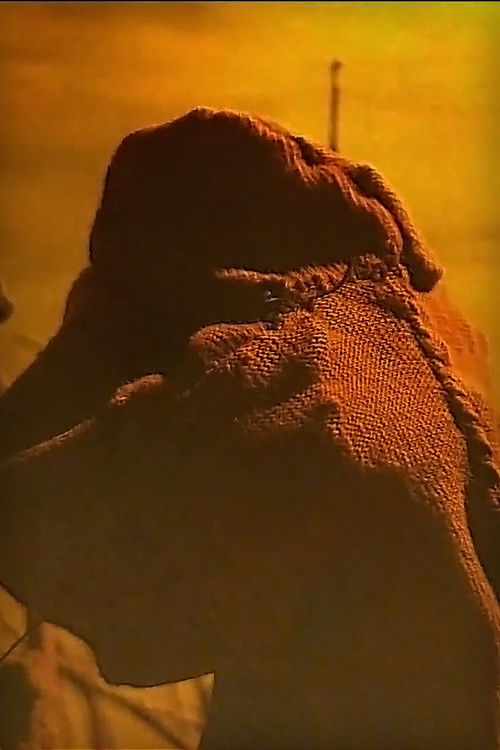 In the Desert poster