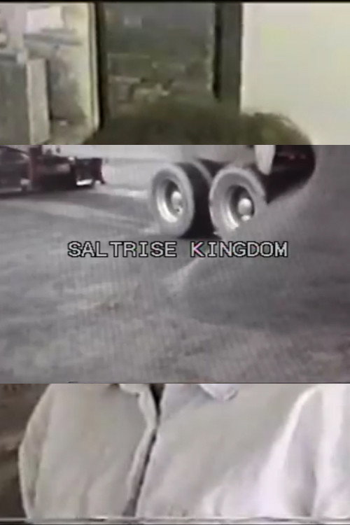 Saltrise Kingdom poster