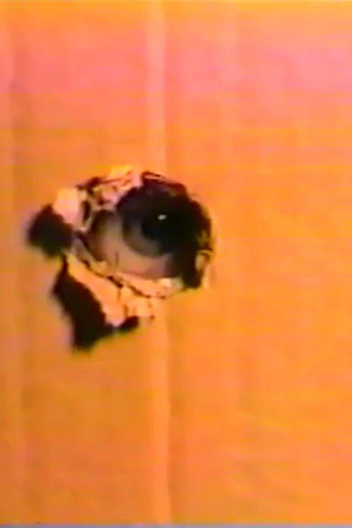Night Sweats poster