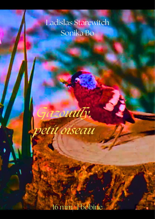 Gazouilli, petit oiseau poster