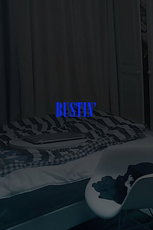 Bustin' poster