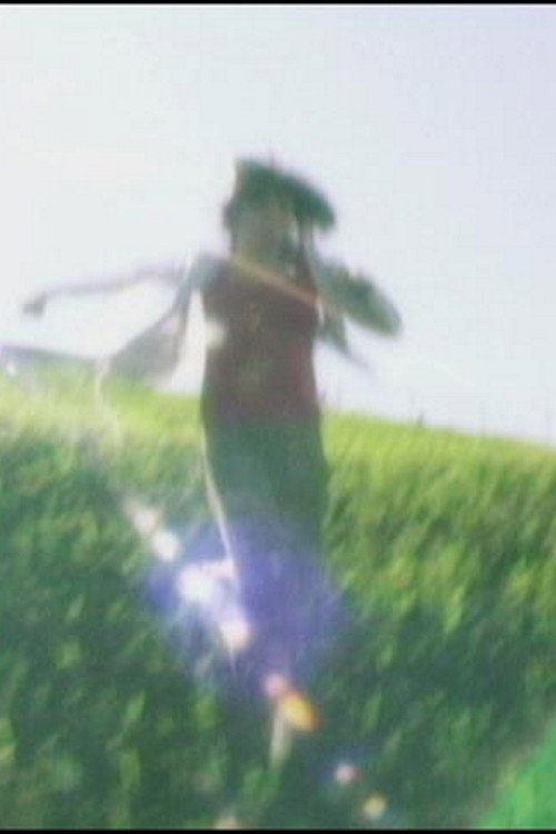 Wonderland in the Negative poster