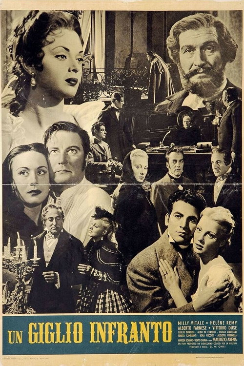 Un giglio infranto poster