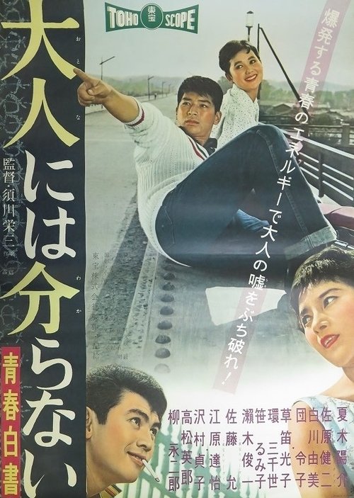 Adults Cannot Understand - Record of Youth poster