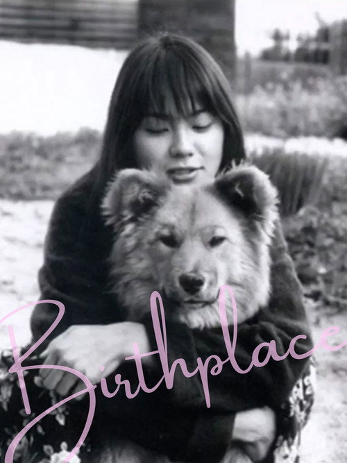 Birthplace poster