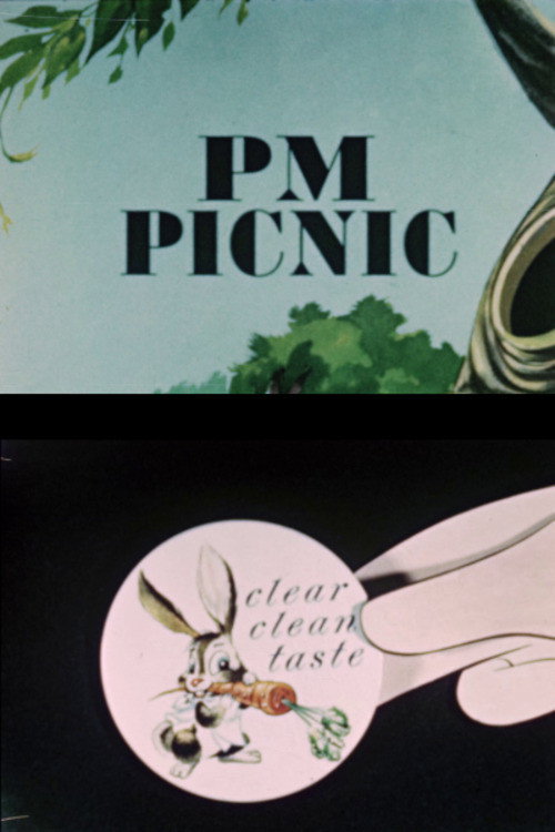 PM Picnic poster