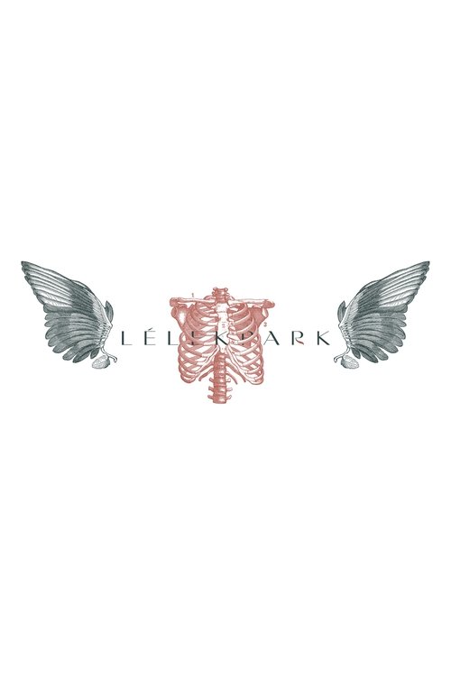 SoulPark poster