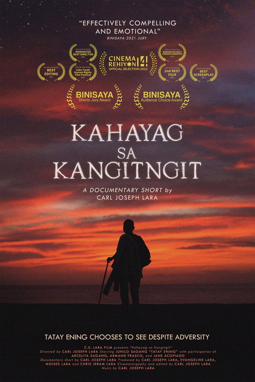 Light in the Darkness poster