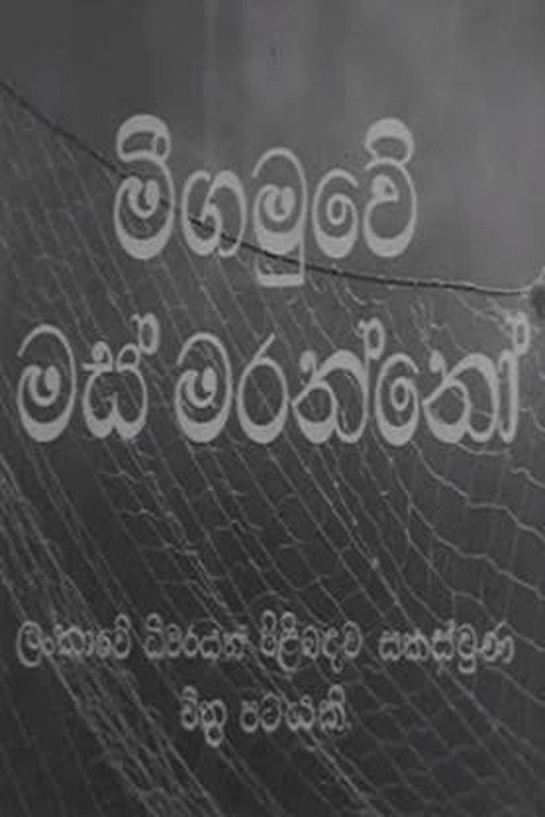 Fishermen of Negombo poster