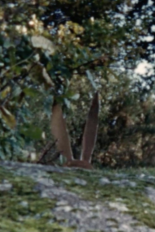 Un chasseur sachant chasser poster