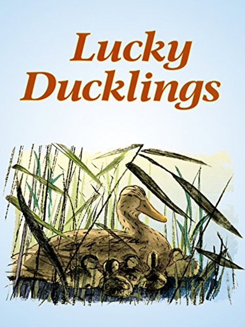 Lucky Ducklings poster