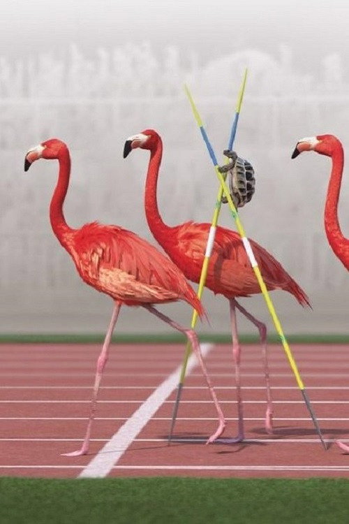 Athleticus: Middle-Distance Race poster