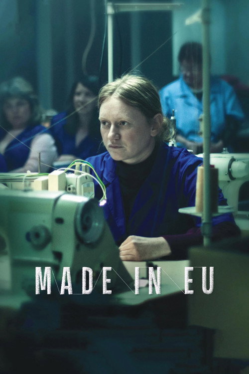 Made in EU poster