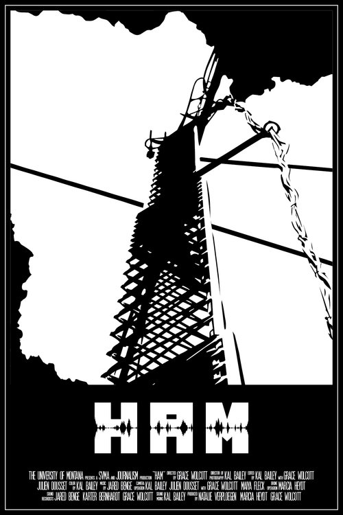 Ham poster