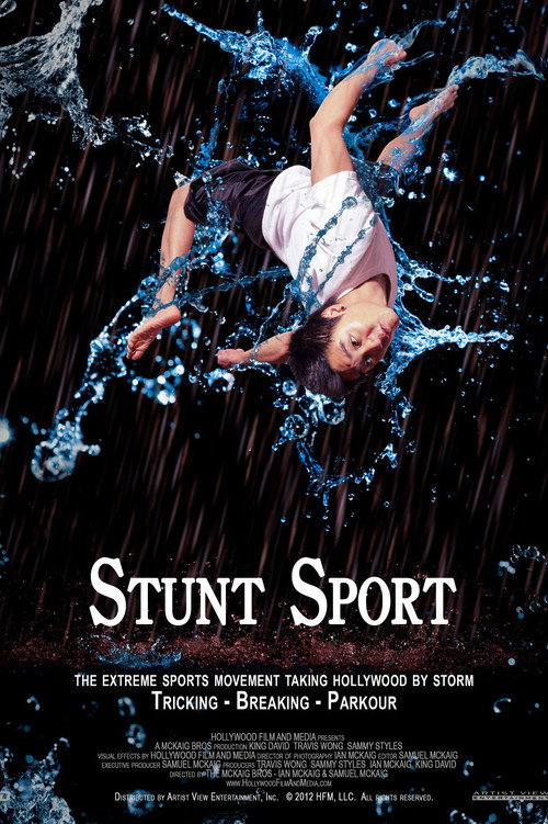 Stunt Sport poster